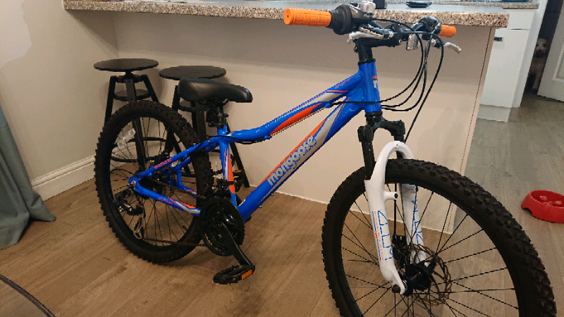 mongoose evict 24